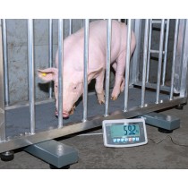 KERN UFA 3T1 Barres peseuses