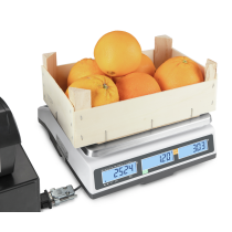 KERN RPB 15K2DM Balance poids-prix avec double affichage KERN RPB 15K2DM Balance poids-prix avec double affichage