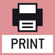 Imprimante: une imprimante peut être raccordée à l'appareil pour imprimer les données de mesure.